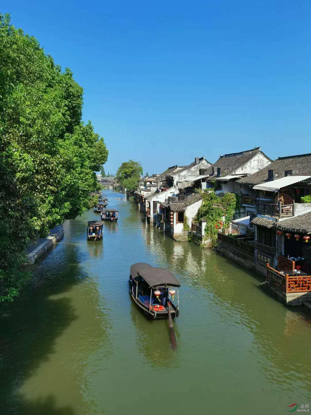 为什么婚姻里我介意男人不做家务？游戏画面